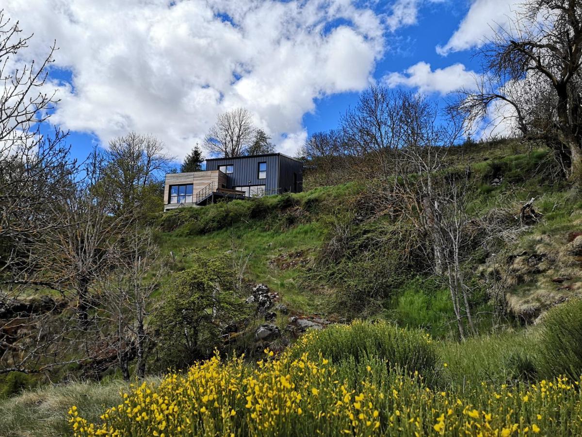 Maison D'Architecte En Pleine Nature Arlempdes Kültér fotó